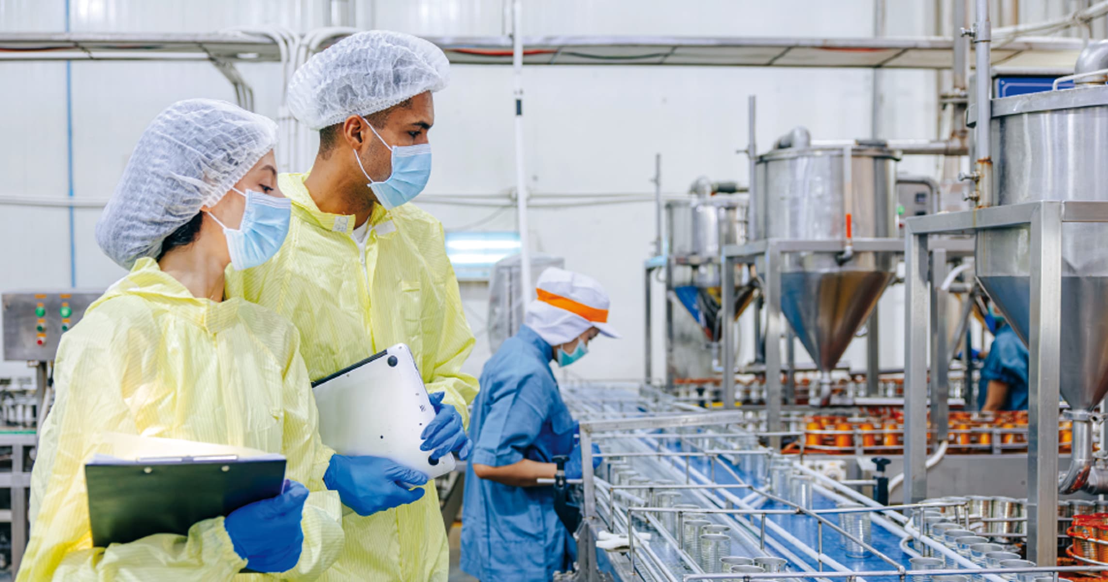 Sugar and Food Processing